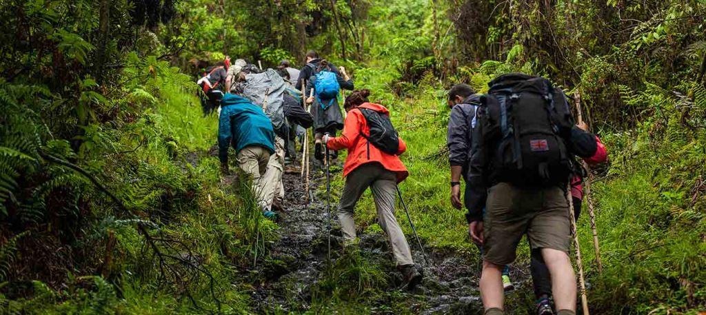 Trekking - 8 Best Rishikesh Adventure Activities - Shri Hari Tour And Adventures
